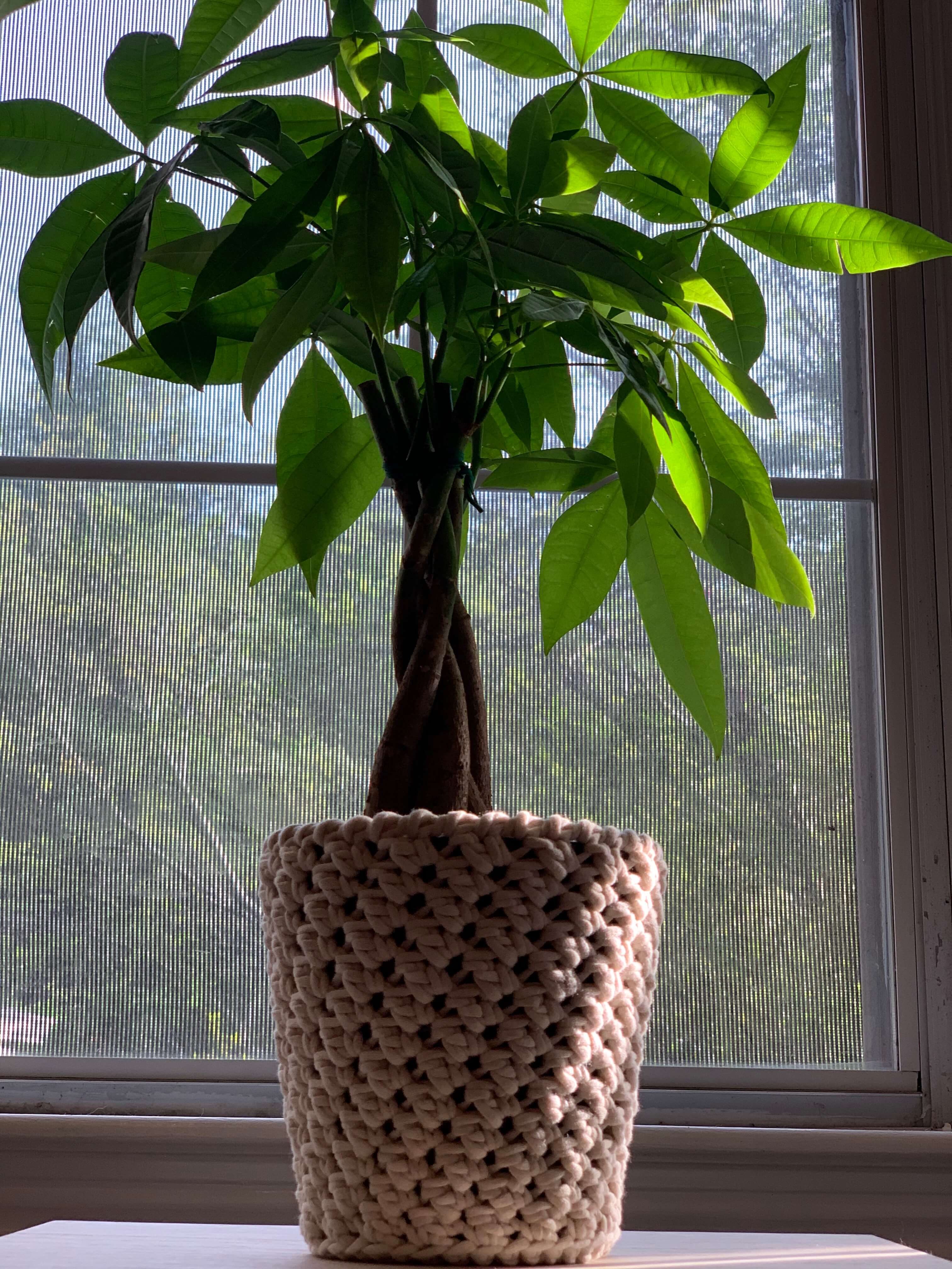 Crochet Plant Pot Covers