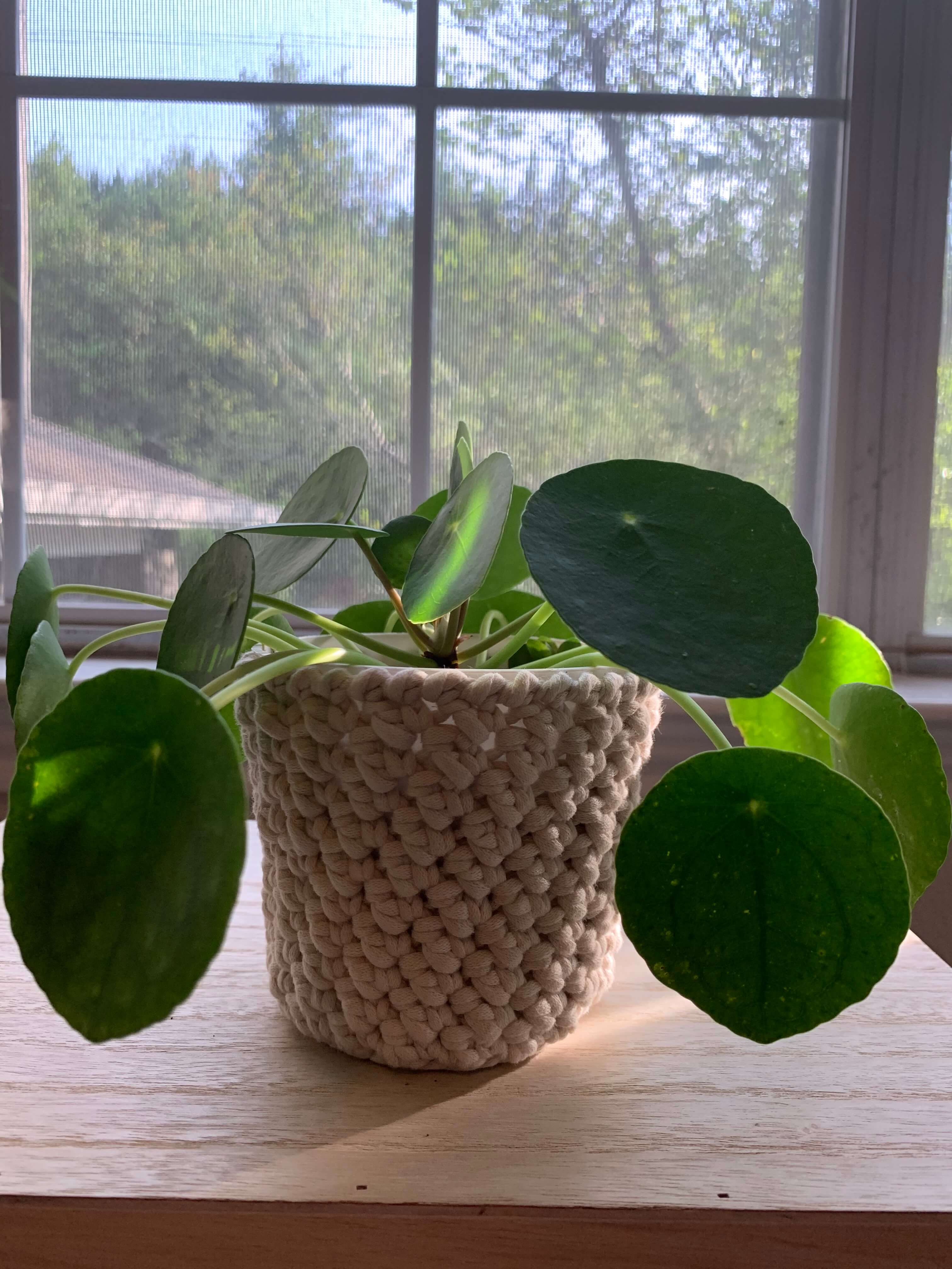 Crochet Plant Pot Covers