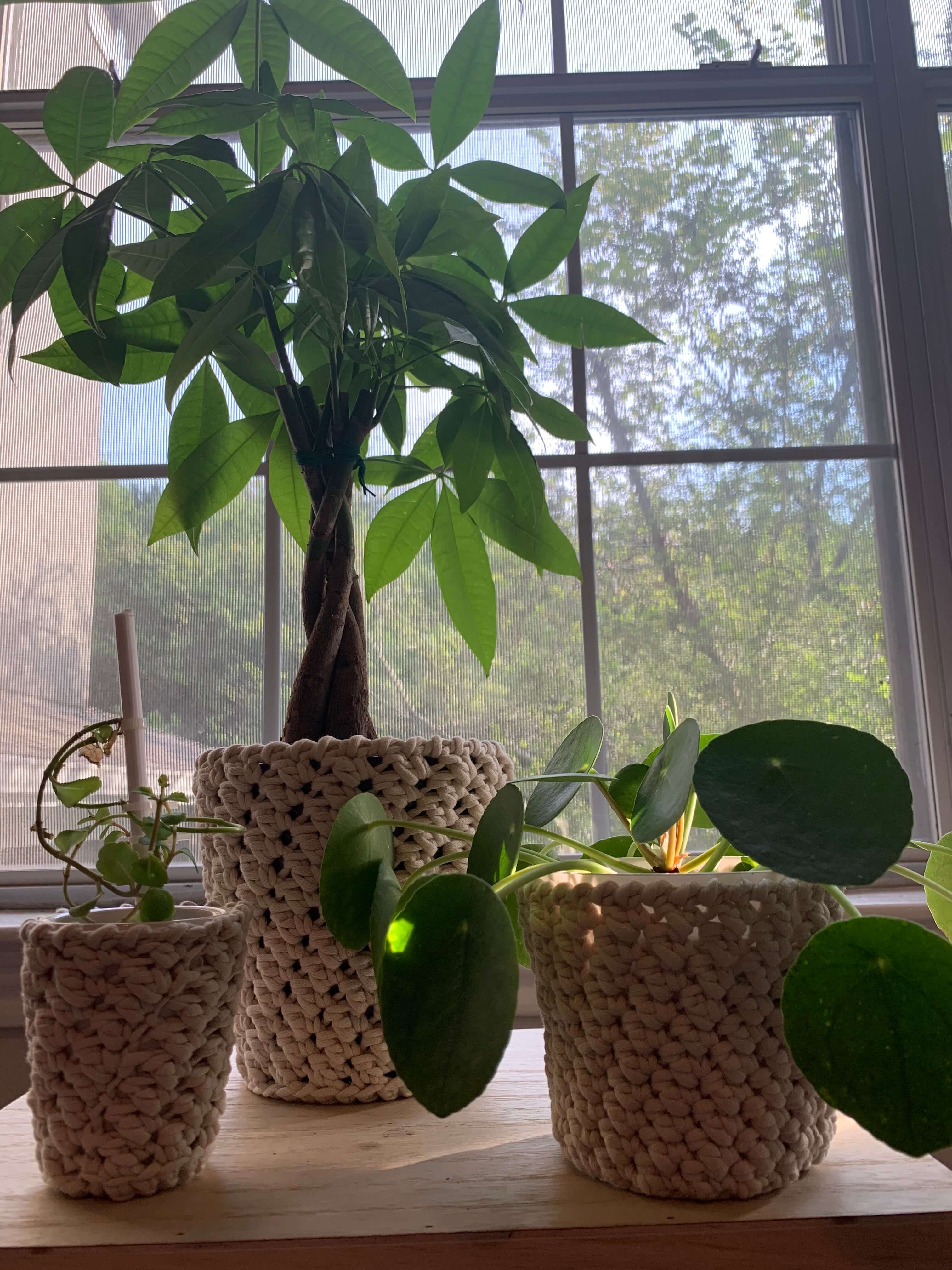 Crochet Plant Pot Covers